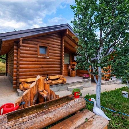 Holiday Bungalows & Food プラヴ エクステリア 写真