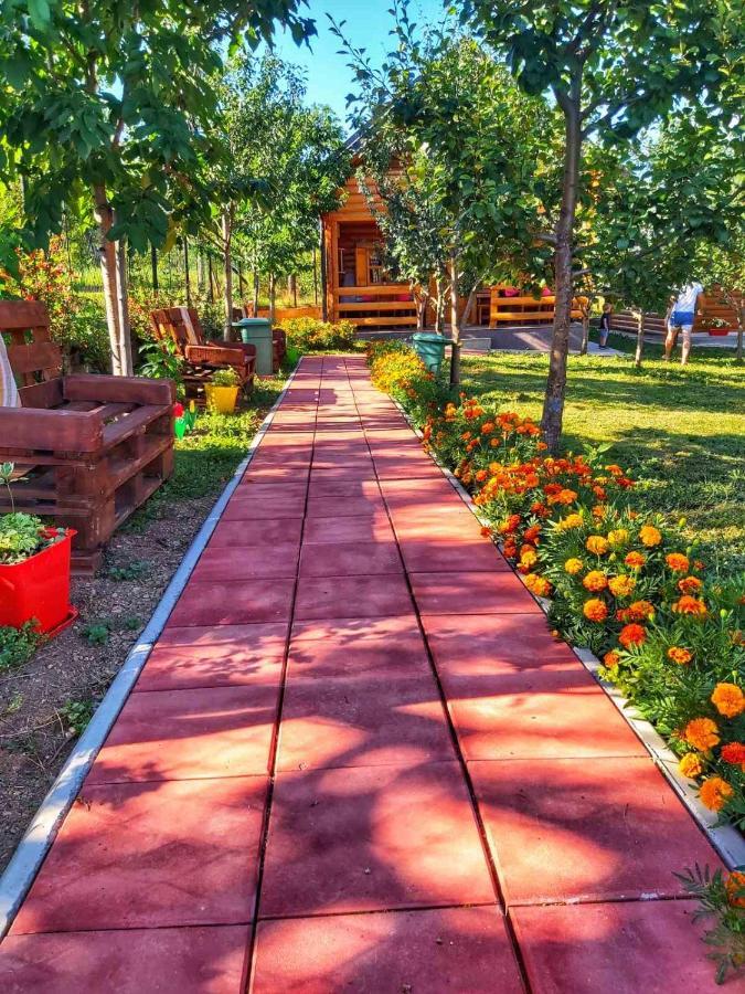 Holiday Bungalows & Food プラヴ エクステリア 写真