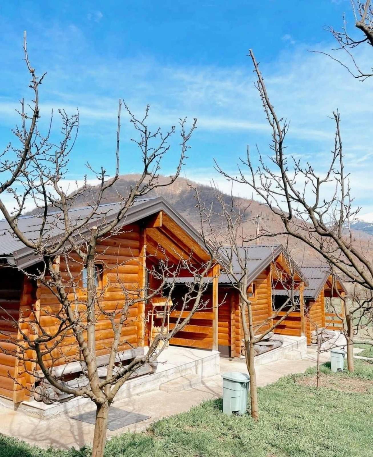Holiday Bungalows & Food プラヴ エクステリア 写真
